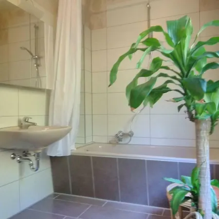 Ferienhaus Mozart Tatil Evi Winterberg